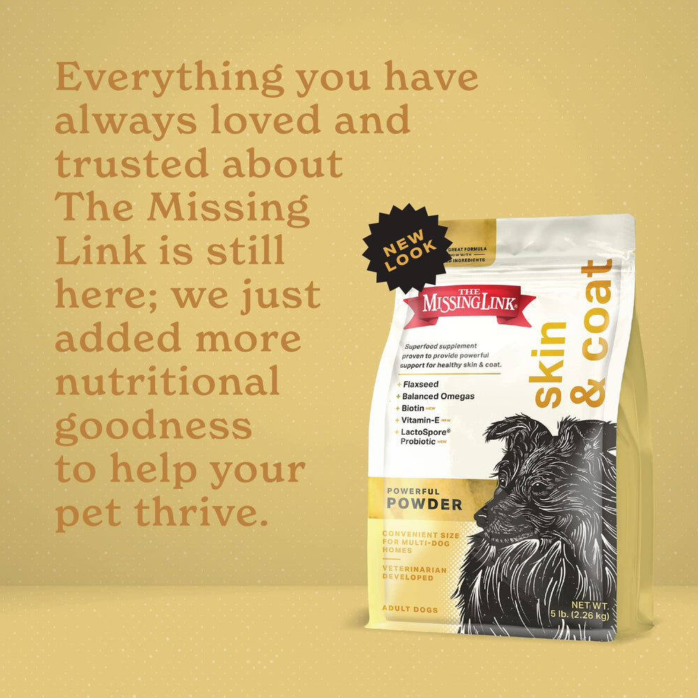The Missing Link chien au pelage brillant illustrant amélioration visuelle possible