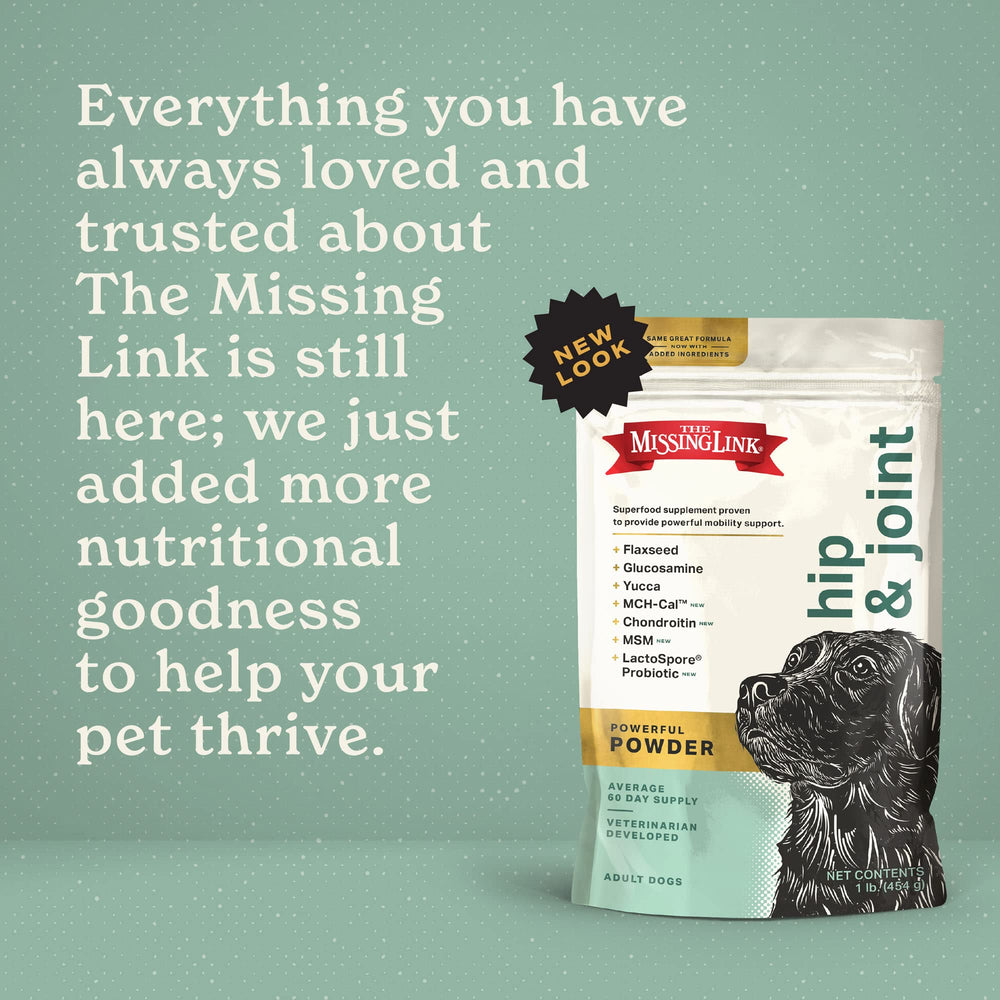 The Missing Link avec chien en jeu suggérant mobilité et énergie