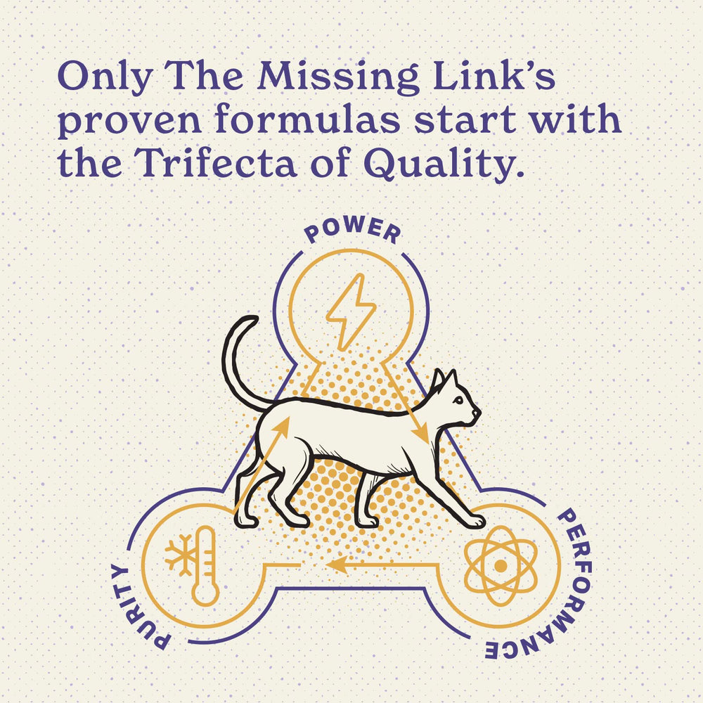 The Missing Link étiquette ingrédients mettant en avant procédé à froid