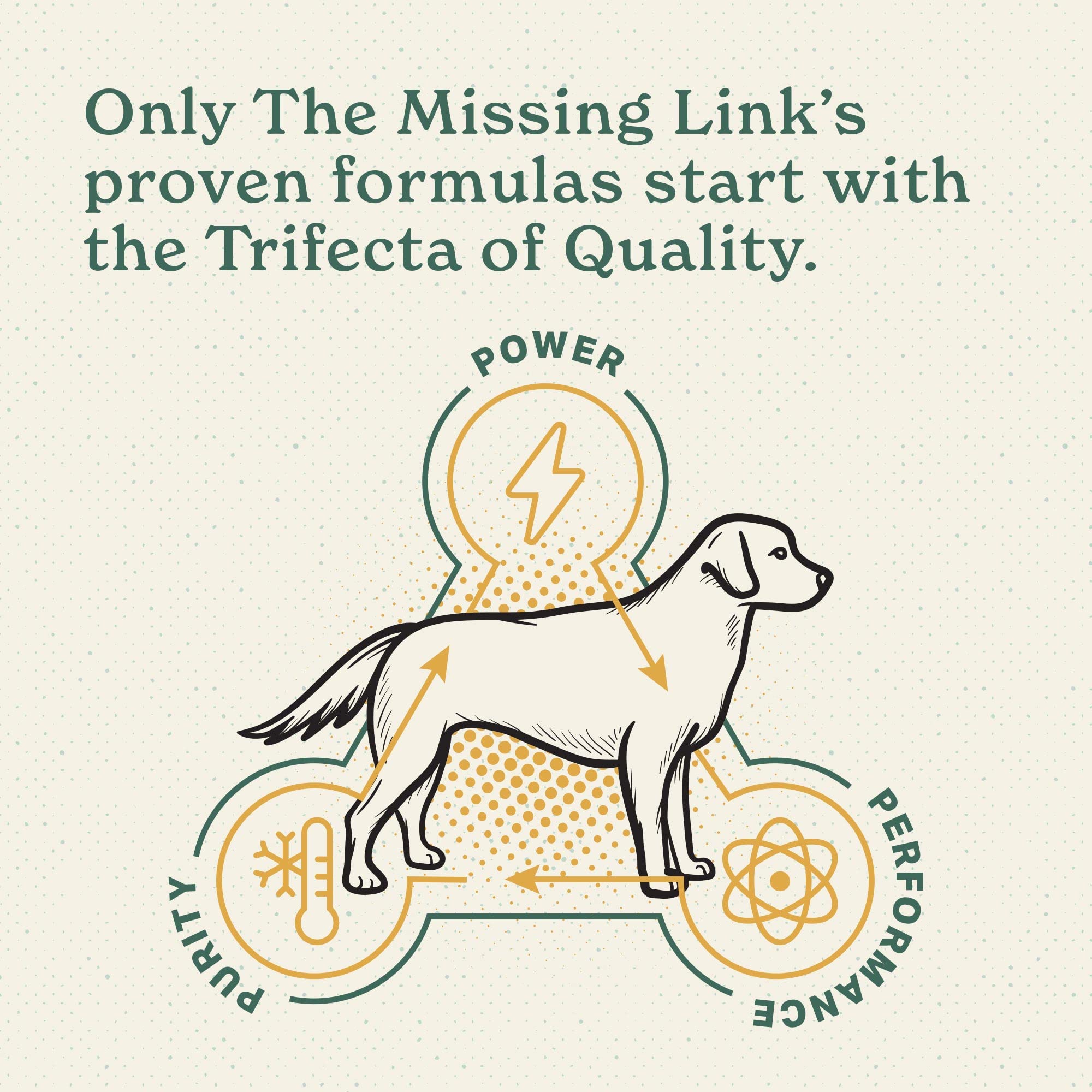 The Missing Link sachet ouvert révélant contenu prêt à l'emploi