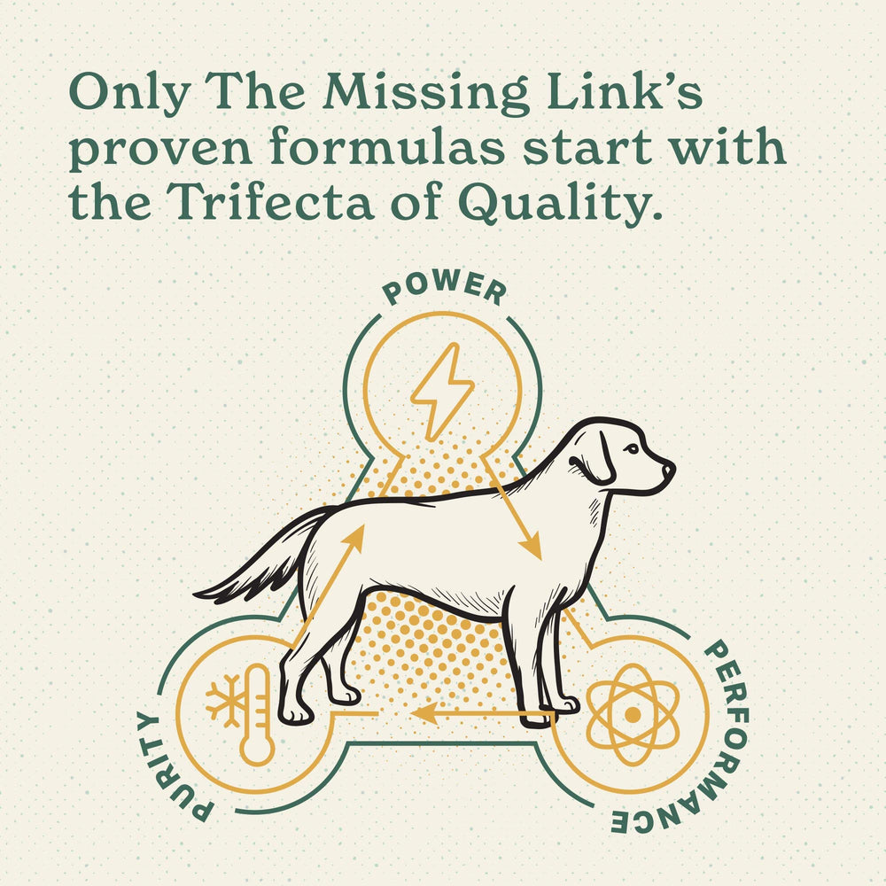 The Missing Link sachet ouvert révélant contenu prêt à l'emploi