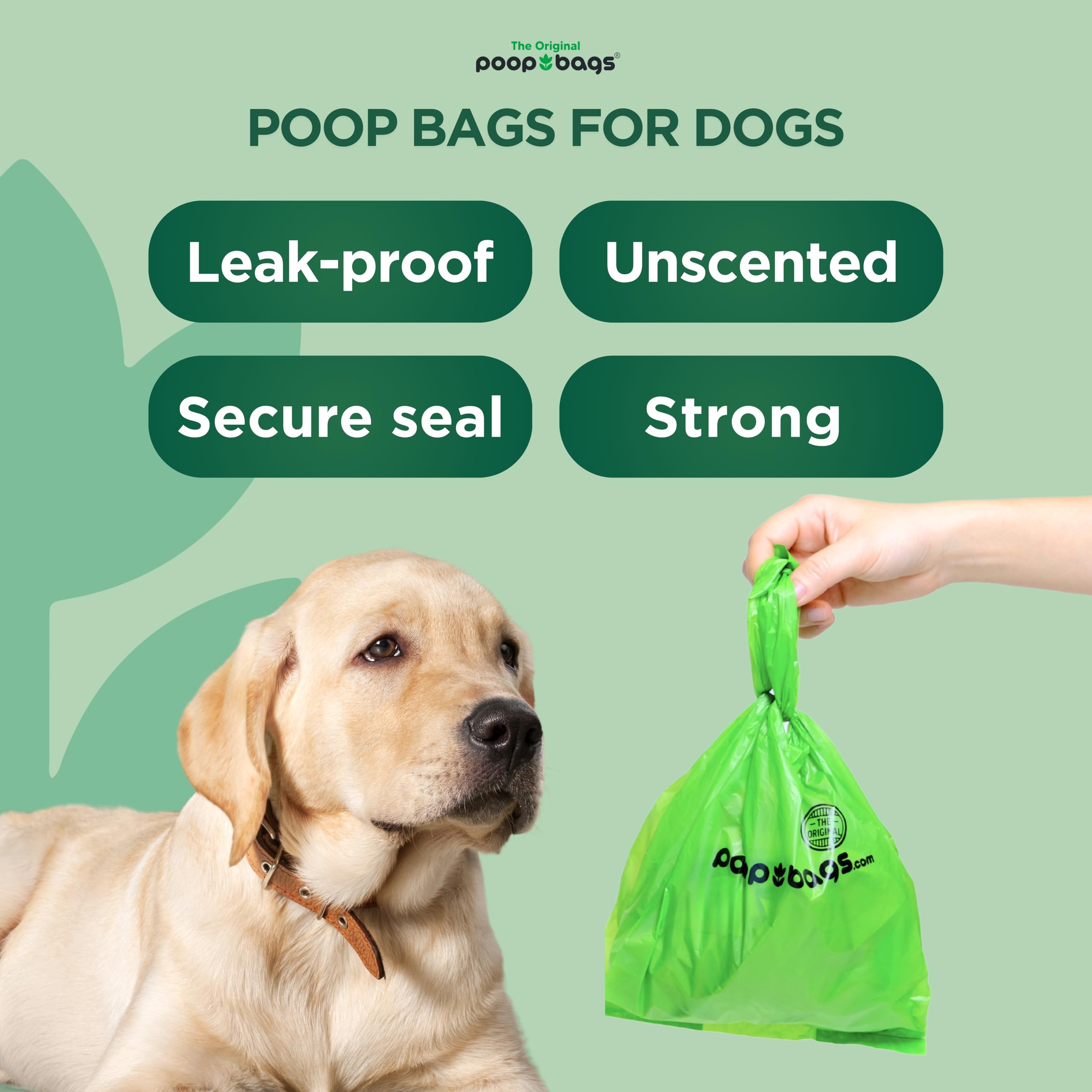 The Original Poop Bags en promenade utilisé par un propriétaire pour ramasser déjections