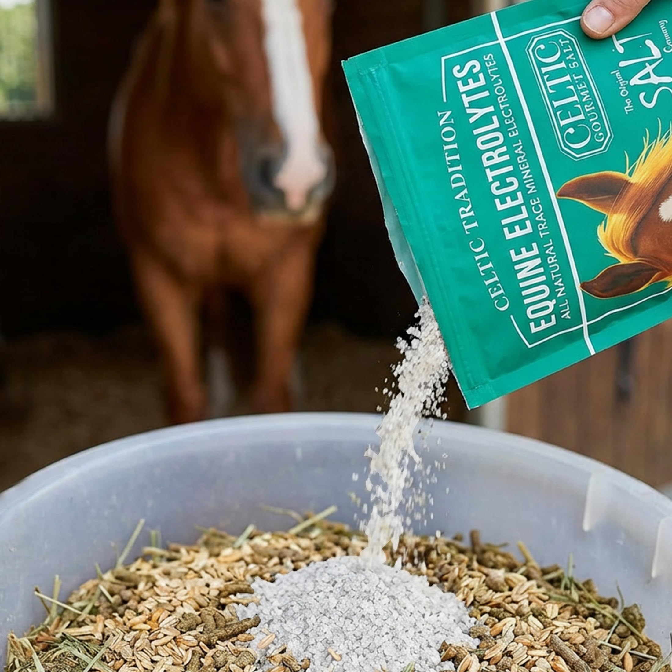The Original Salt Company cheval buvant eau enrichie pour soutien hydrique post-effort