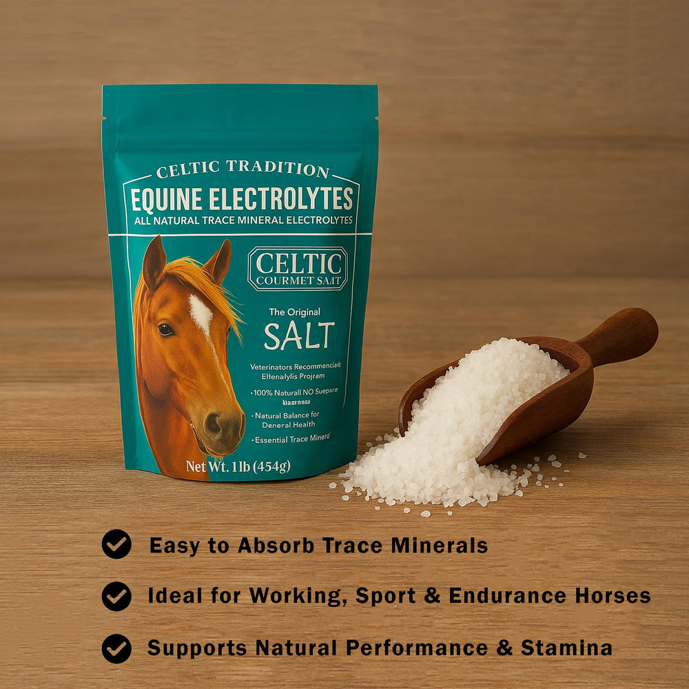 The Original Salt Company étiquette produit en gros plan affichant ingrédients naturels