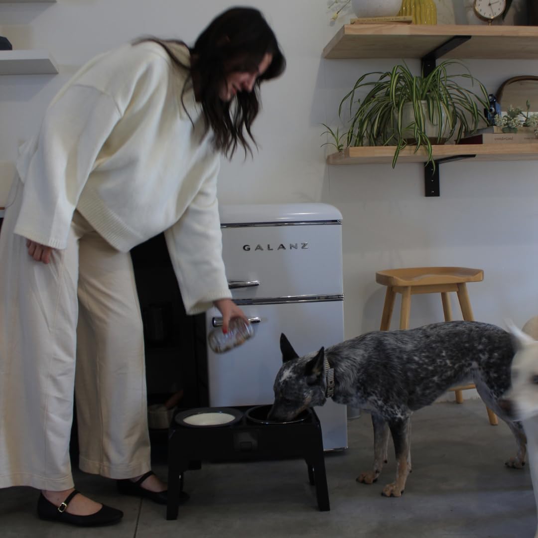 THE PAW COLLECTION gamelle en situation, facilite repas confortable du chien