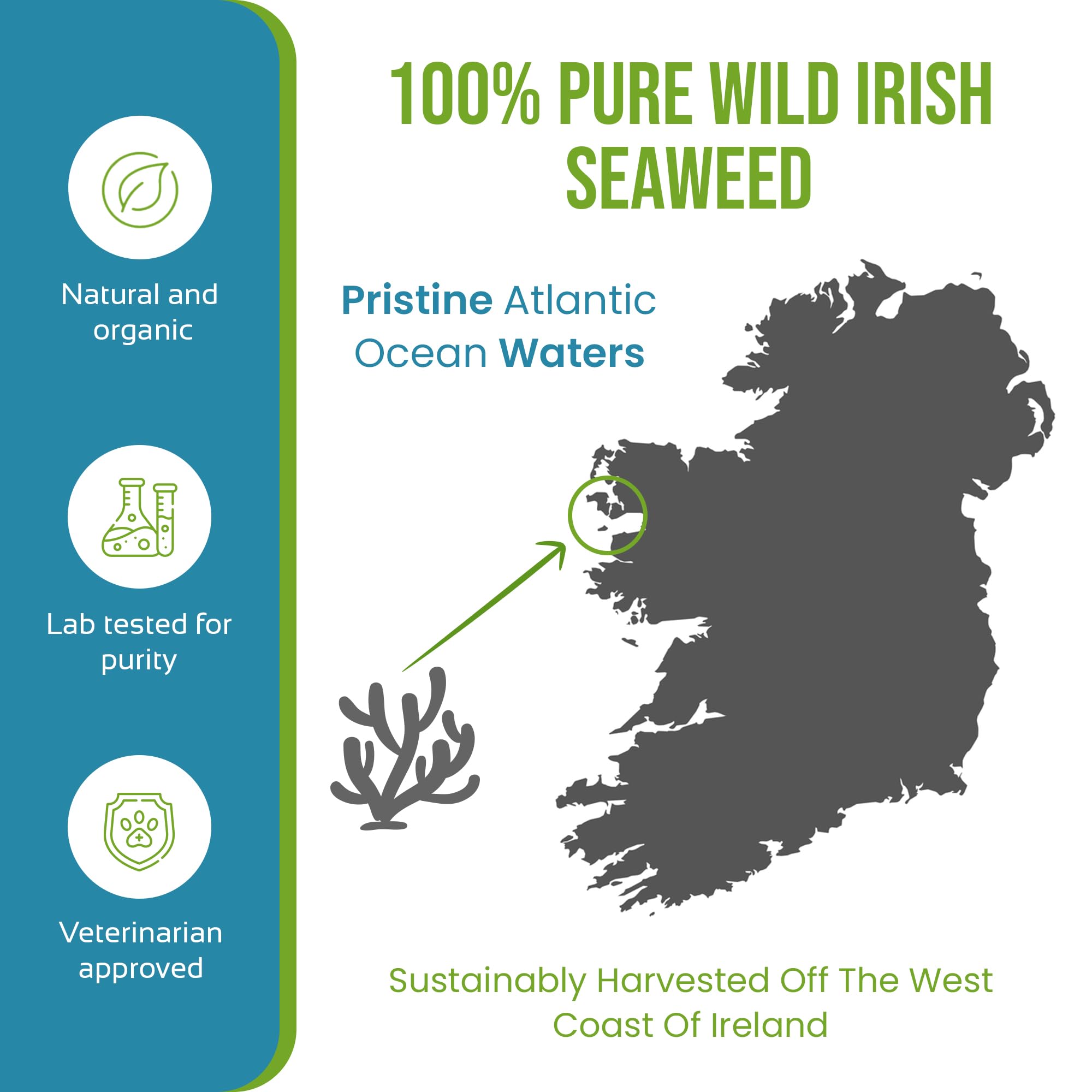 The Seaweed Co pot Caniclean ouvert et cuillère bénéfice usage pratique