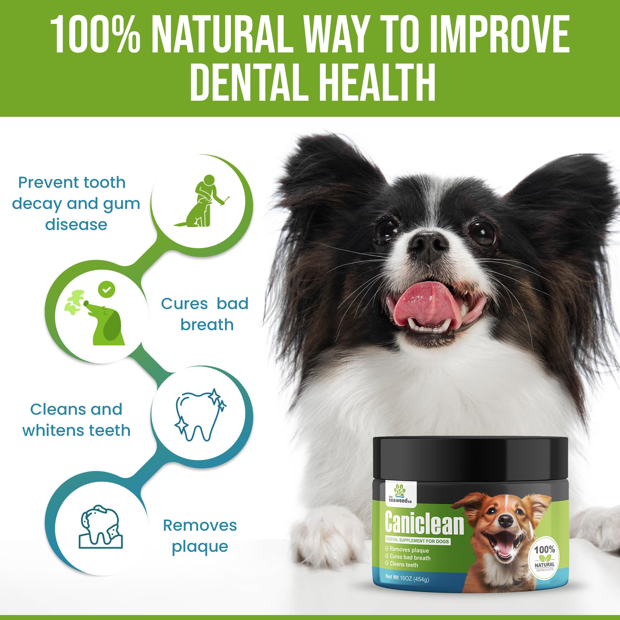 The Seaweed Co chien mangeant repas assaisonné Caniclean bénéfice haleine fraîche