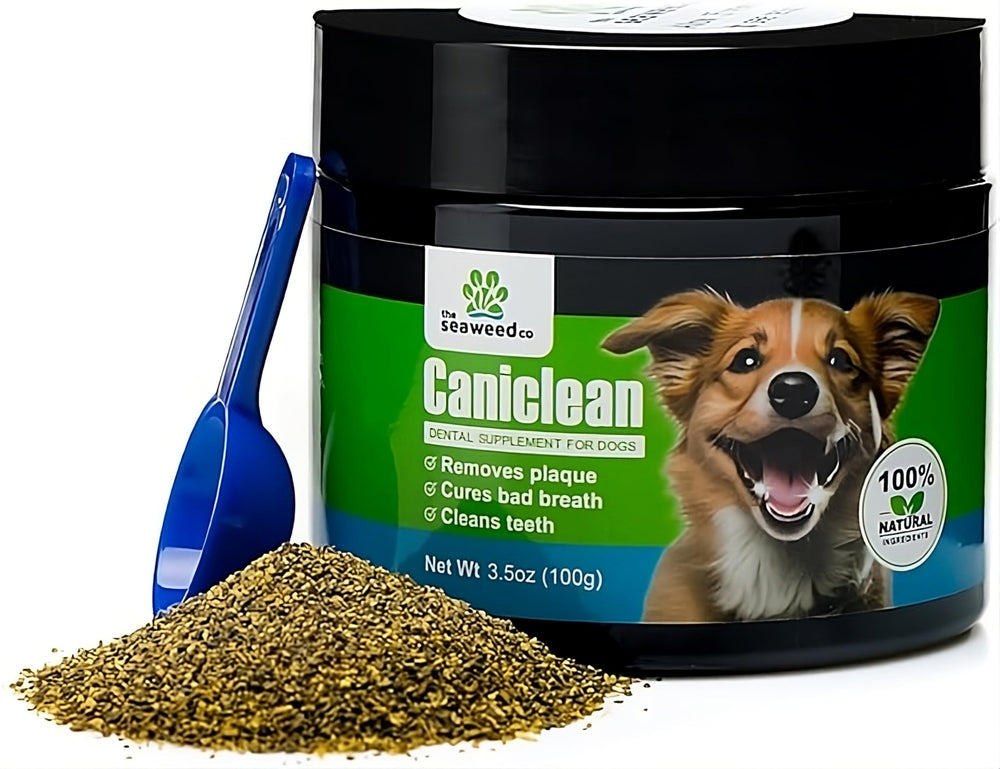 The Seaweed Co emballage Caniclean avant bénéfice nettoyage naturel