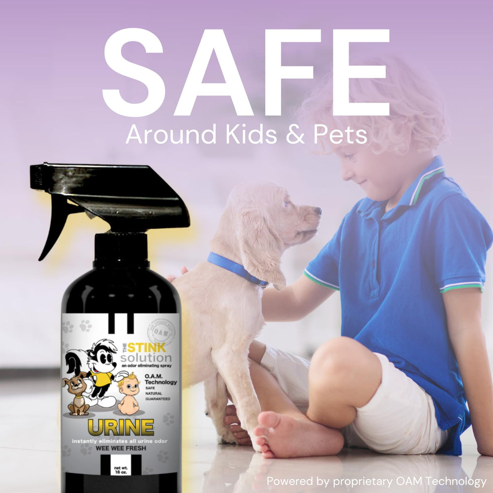 The Stink Solution mise en scène maison sur tapis, rafraîchit l'intérieur rapidement