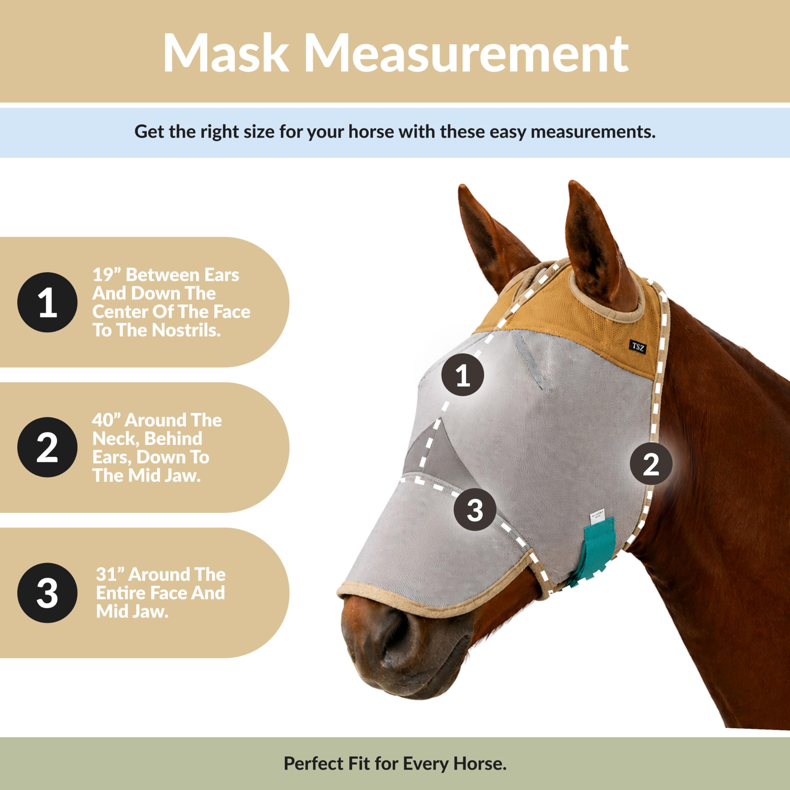 The Sunny Zebra comparaison de taille montre mesures pour ajustement