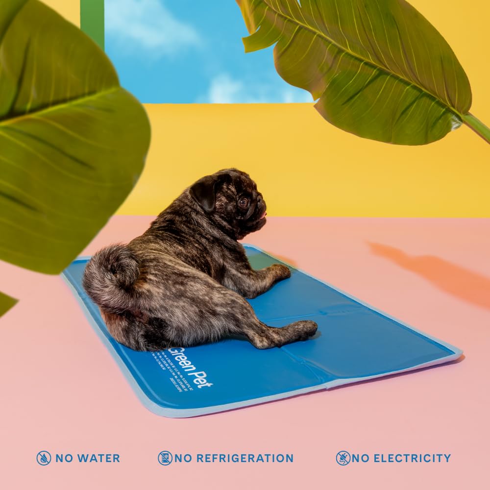 THEGREENPETSHOP comparaison taille montrant tapis XL adapté chiens 80+ lb