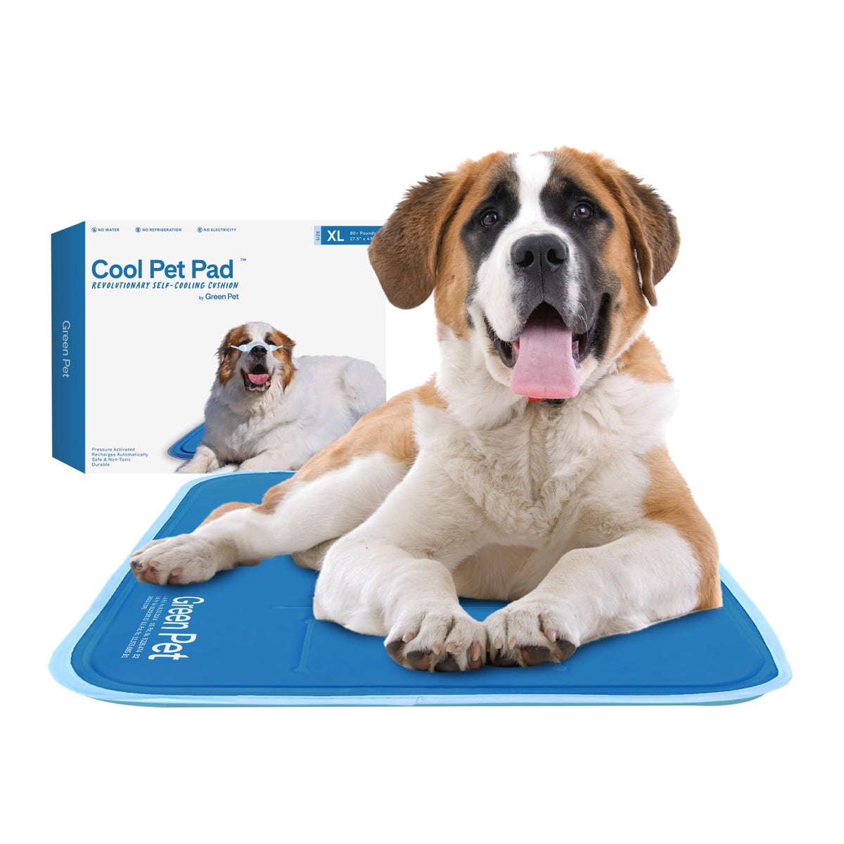 THEGREENPETSHOP tapis face avant bleu montrant surface fraîche et grand format