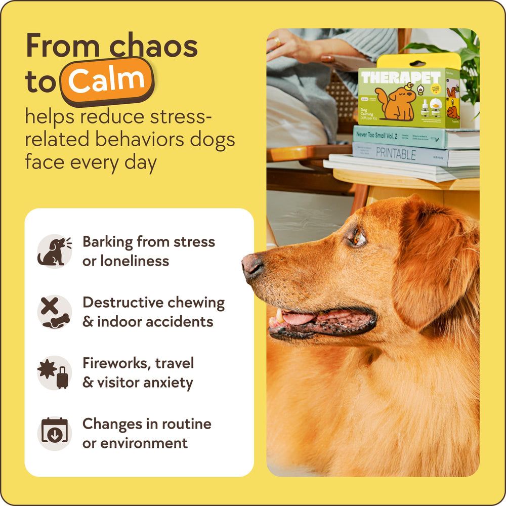 Therapet MD diffuseur branché dans un salon pour calmer plusieurs pièces