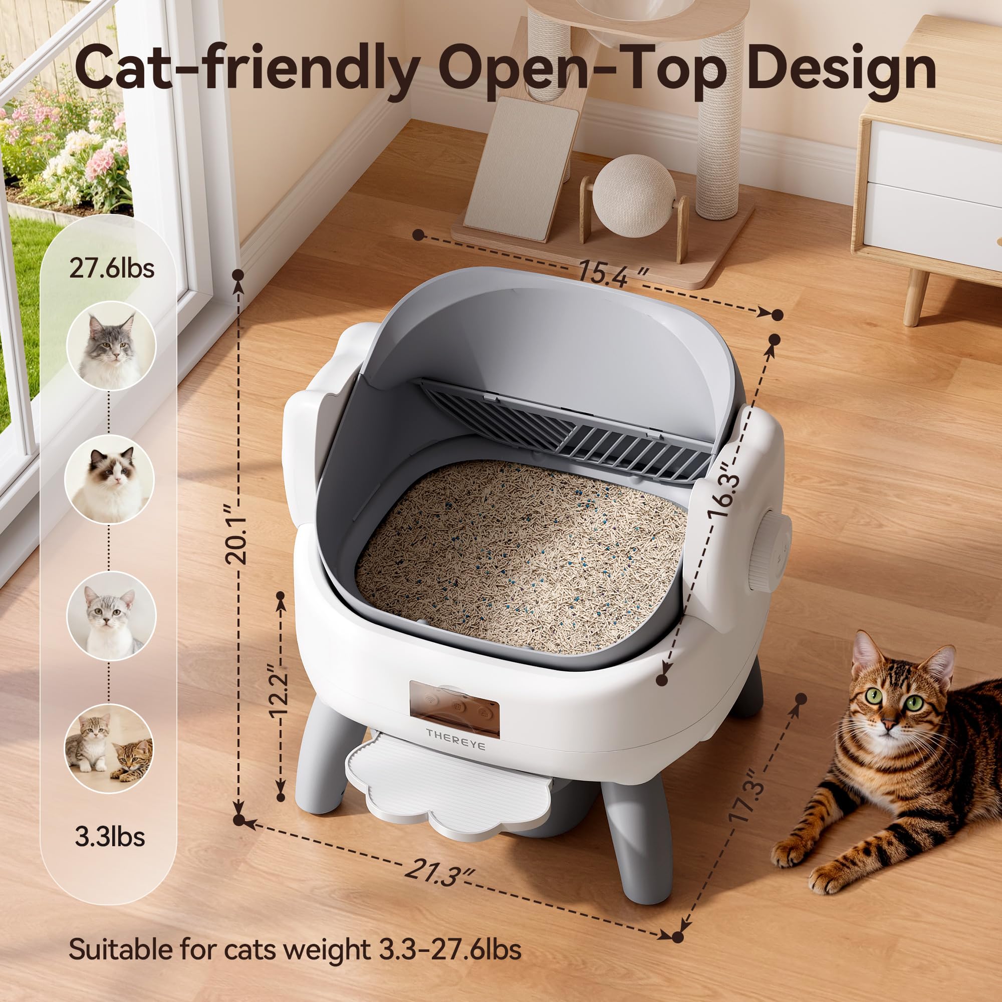 Thereye marche d'entrée offrant stabilité et accès sécurisé pour chats