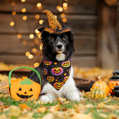 THLOH bandana porté par chien moyen ajoutant style festif sûr