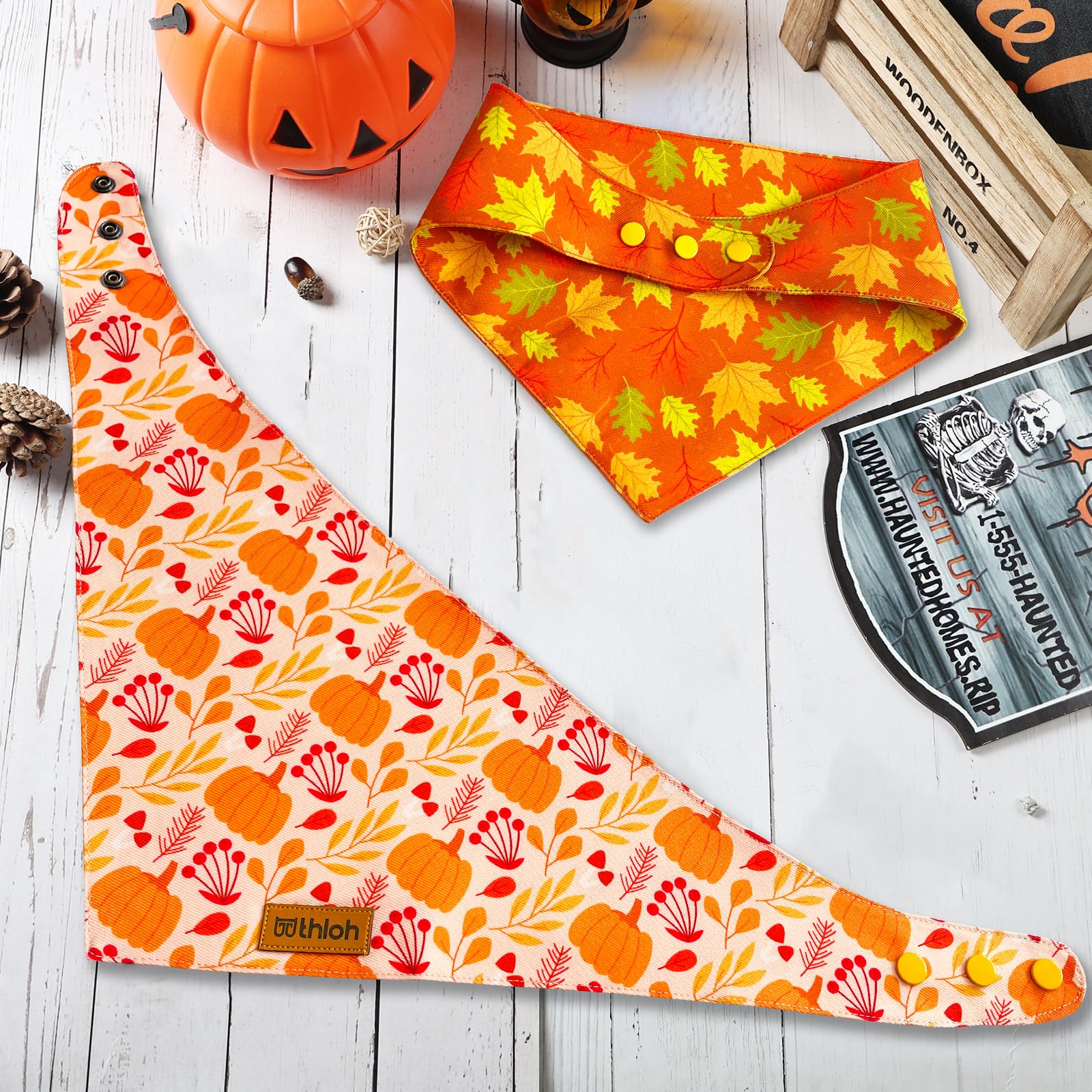 THLOH bandana posé sur feuilles d'automne, style saisonnier et résistant