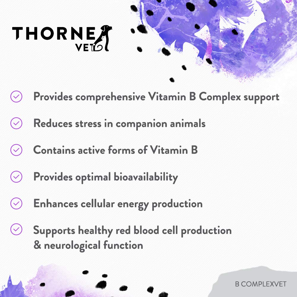 ThorneVET friandise en main démontrant la taille et le format masticable pratique
