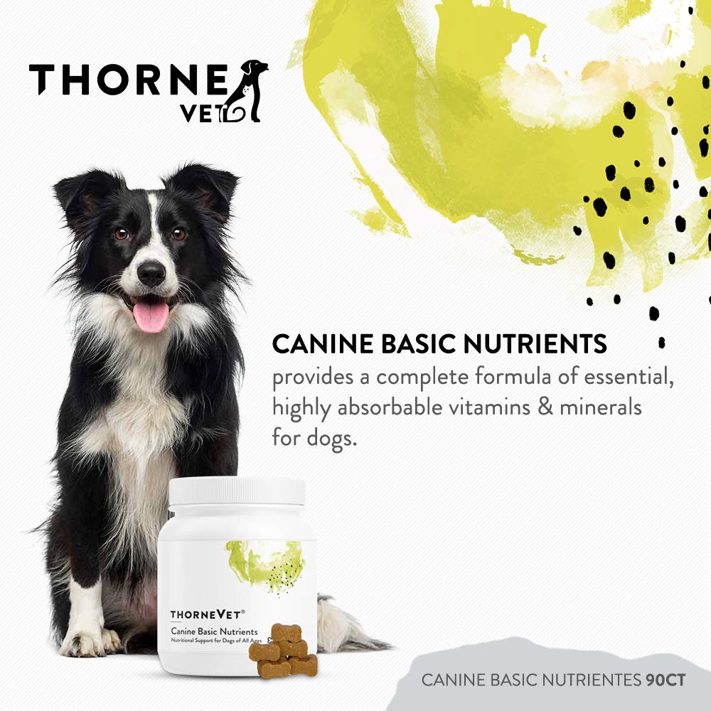 Gros plan sur une croquette molle ThorneVET montrant texture et appétence pour acceptation