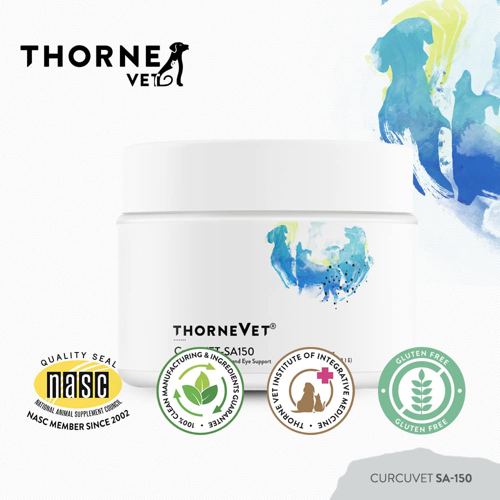 ThorneVet chien mangeant croquettes mélangées avec CurcuVET pour soutien quotidien