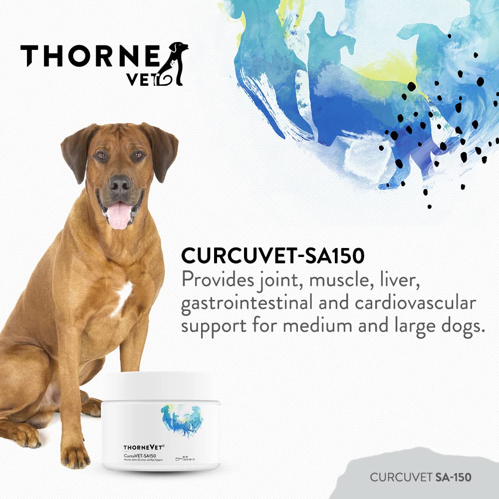 ThorneVet scoop de CurcuVET montrant quantité pratique et dosage simple