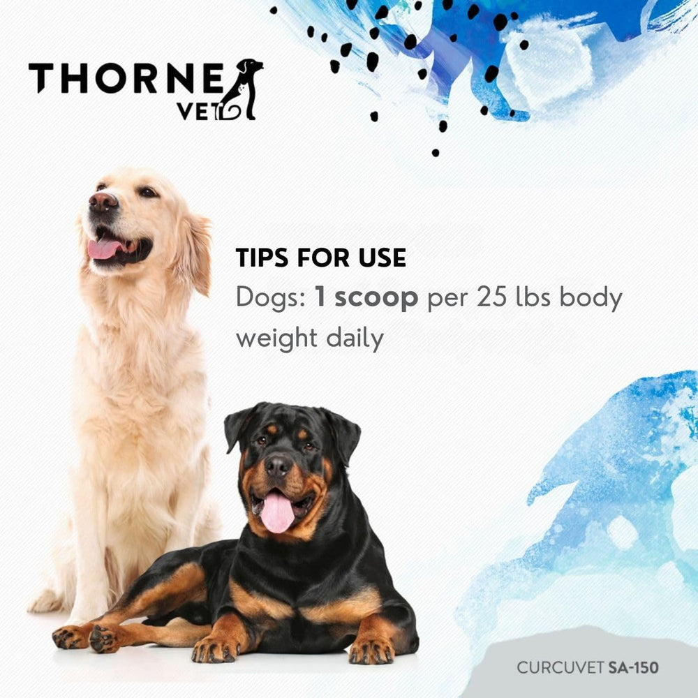 ThorneVet pot CurcuVET à côté d’une règle pour comparaison d’échelle pratique