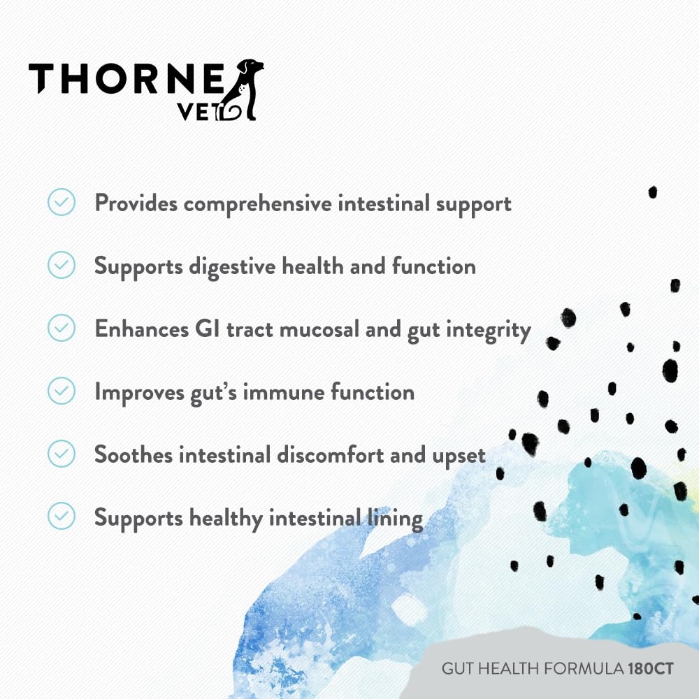 Chien acceptant un mastic ThorneVET en utilisation quotidienne pour confort digestif