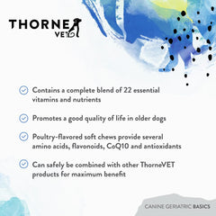 ThorneVET friandise tenue à la main montrant la taille adaptée pour chiens