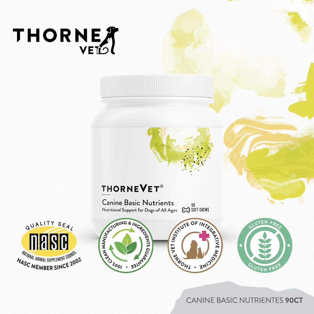 Chien actif avec ThorneVET en arrière-plan suggérant soutien de la vitalité quotidienne