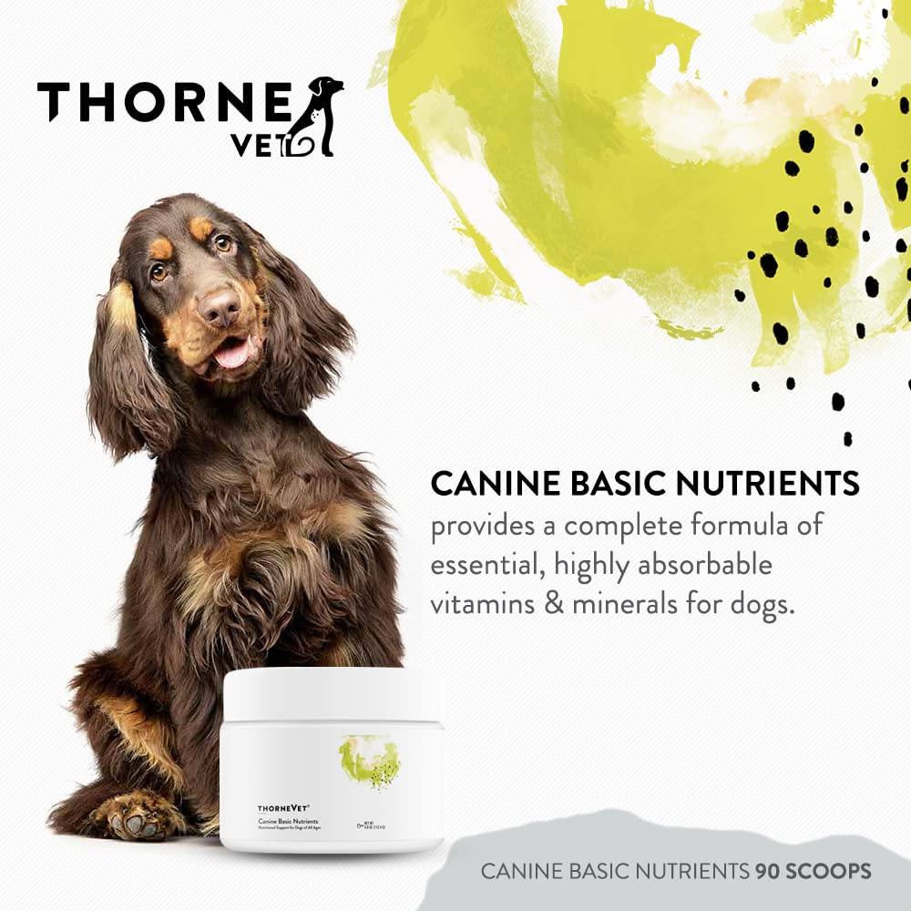 ThorneVet gros plan de la texture en poudre, facile à mélanger pour une absorption optimisée