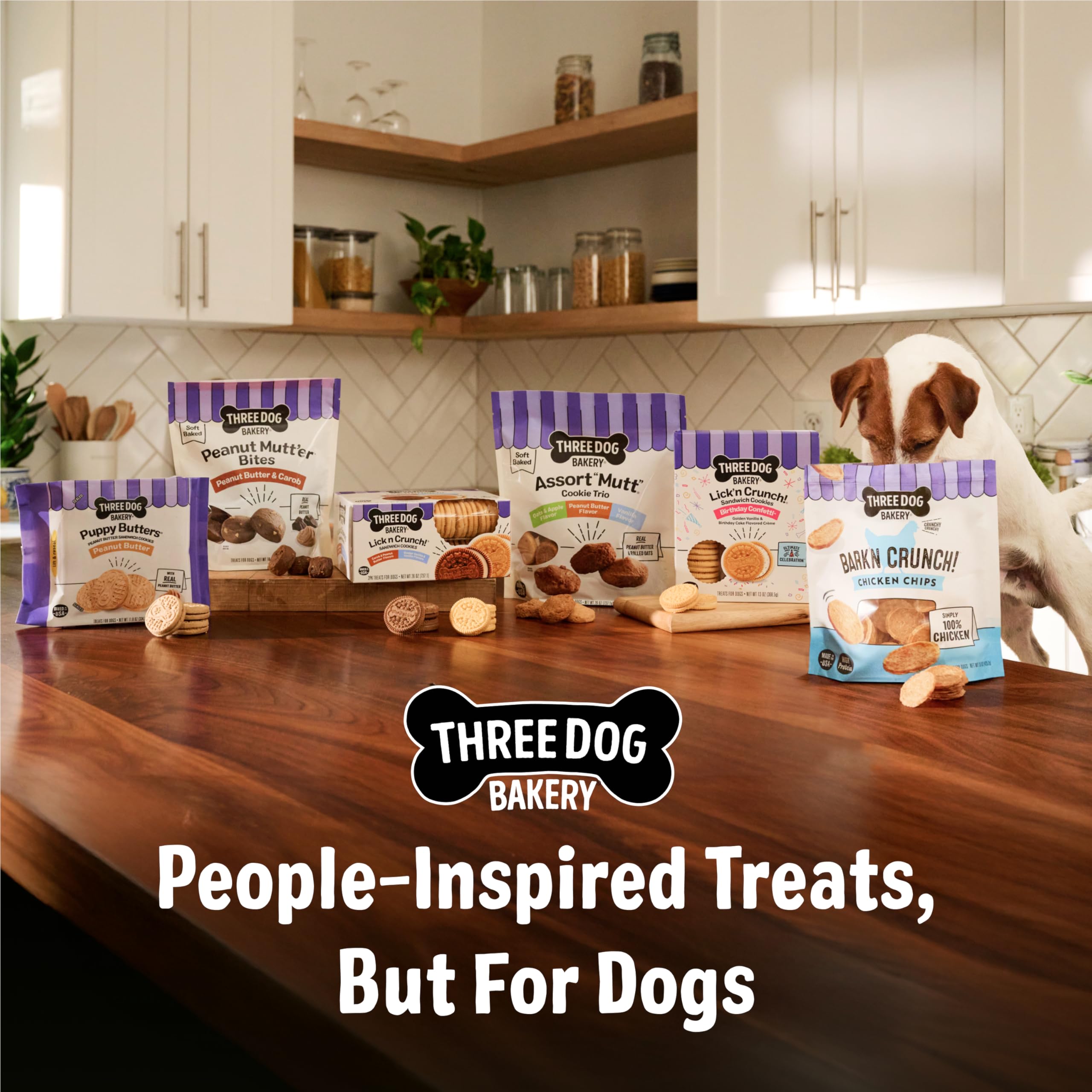 Three Dog Bakery propriétaire donne biscuit à son chien, moment de récompense et complicité