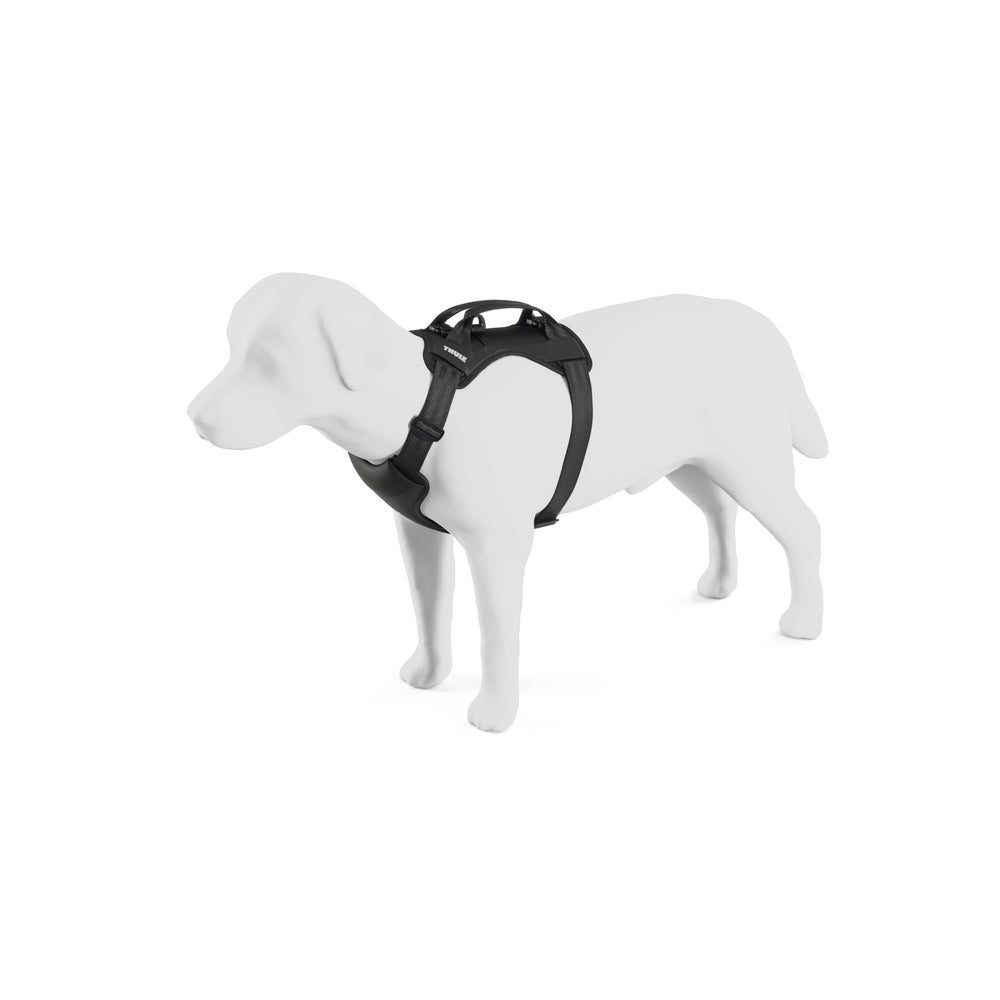 Thule Cappy boucle de laisse solide, attache facile pour sorties rapides