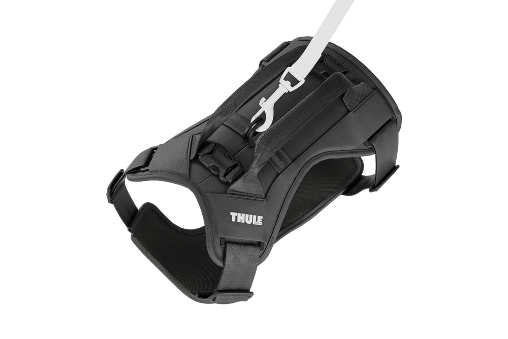 Thule Cappy gros plan mesh rembourré pour ventilation et confort