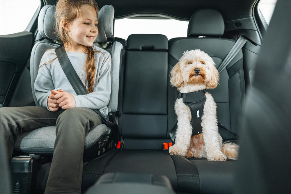Thule Cappy vue de profil montrant ergonomie et répartition des forces