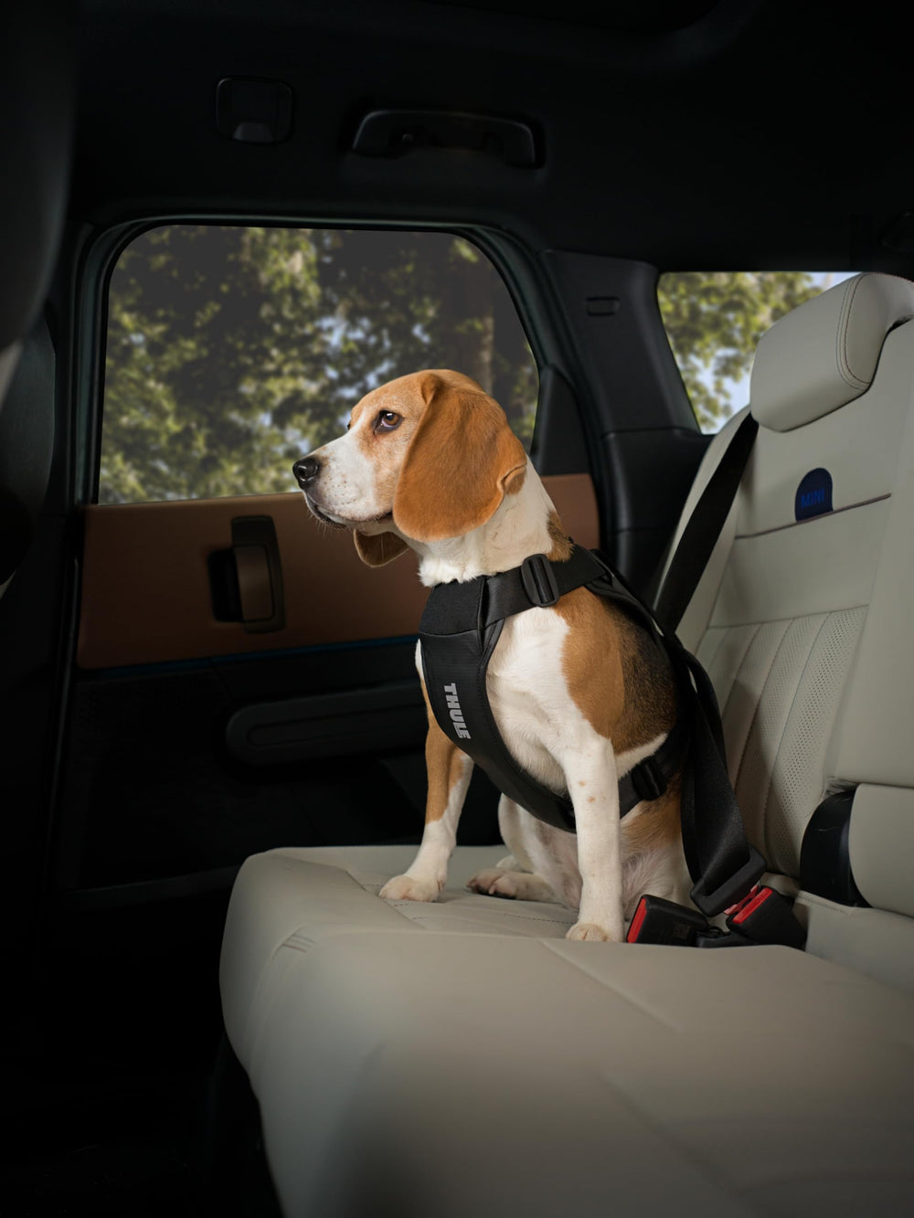 Thule Cappy sangles d'ajustement séparées, réglage unique pratique