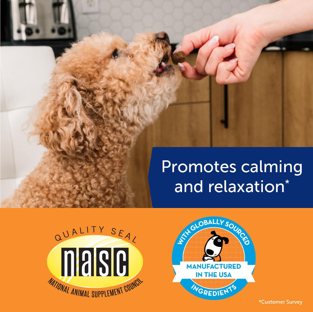 ThunderBites chiot prenant une friandise et se sentant plus calme