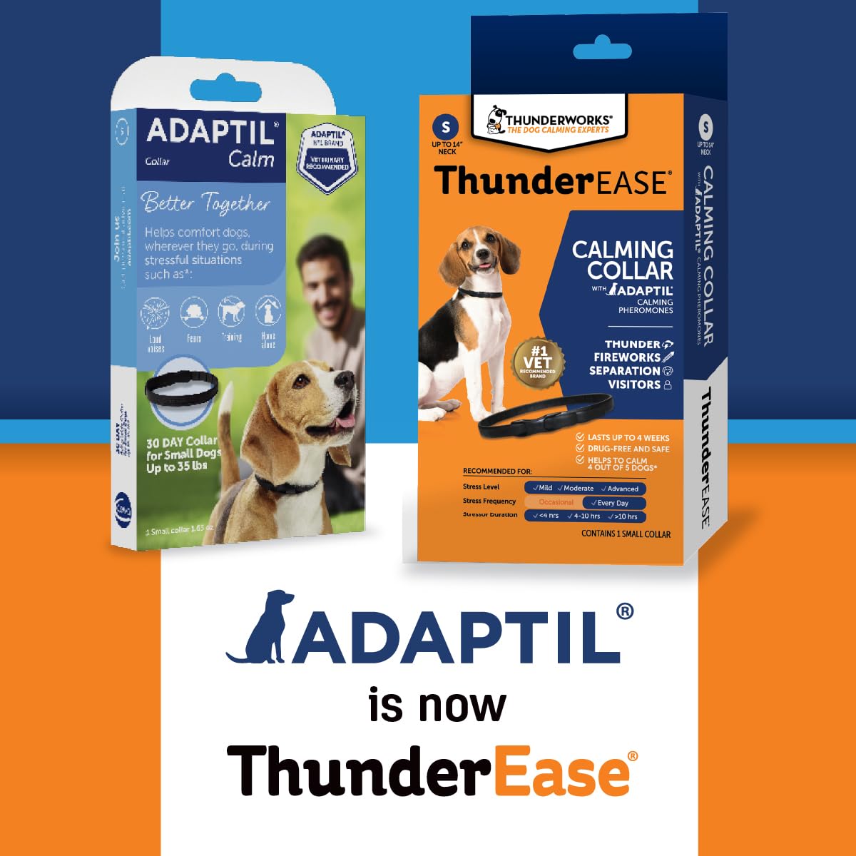 ThunderEase collier en usage sur chien calmé pendant voyage montrant apaisement