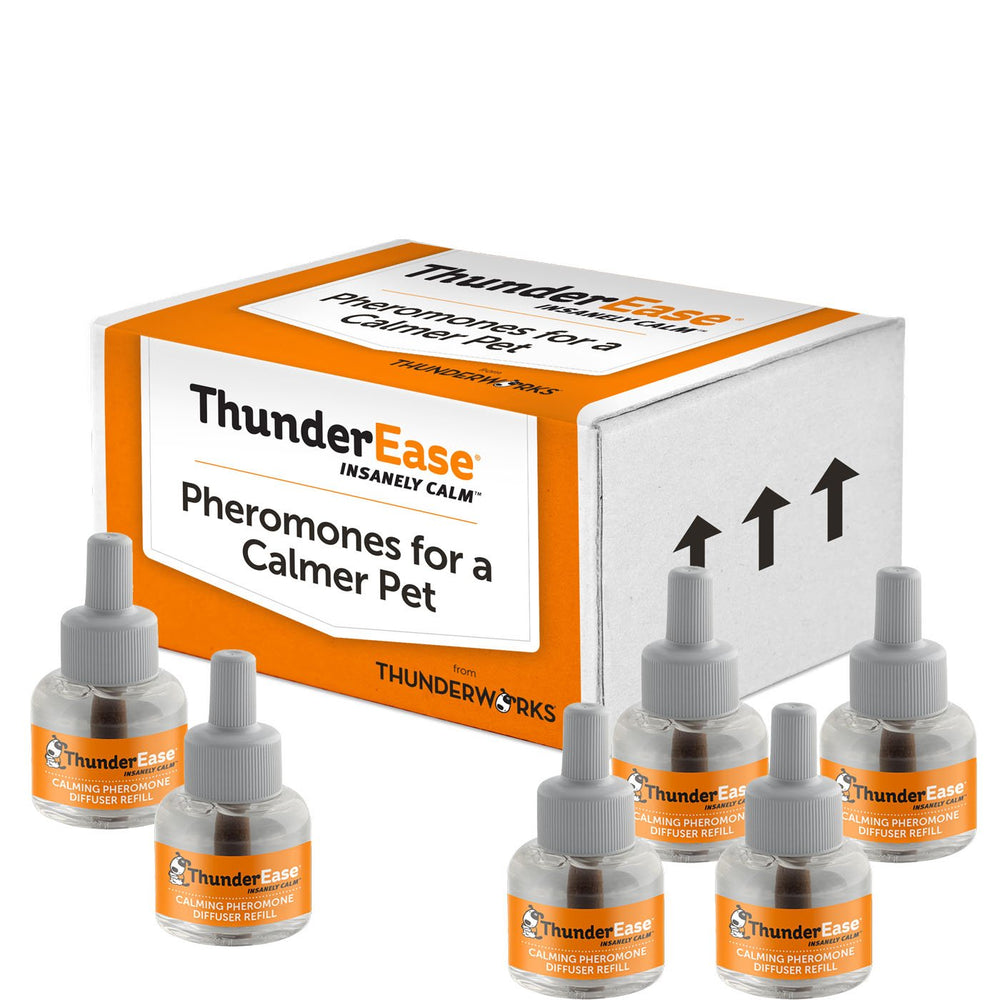ThunderEase face de l'emballage montrant la marque et durée pour calmer le chien