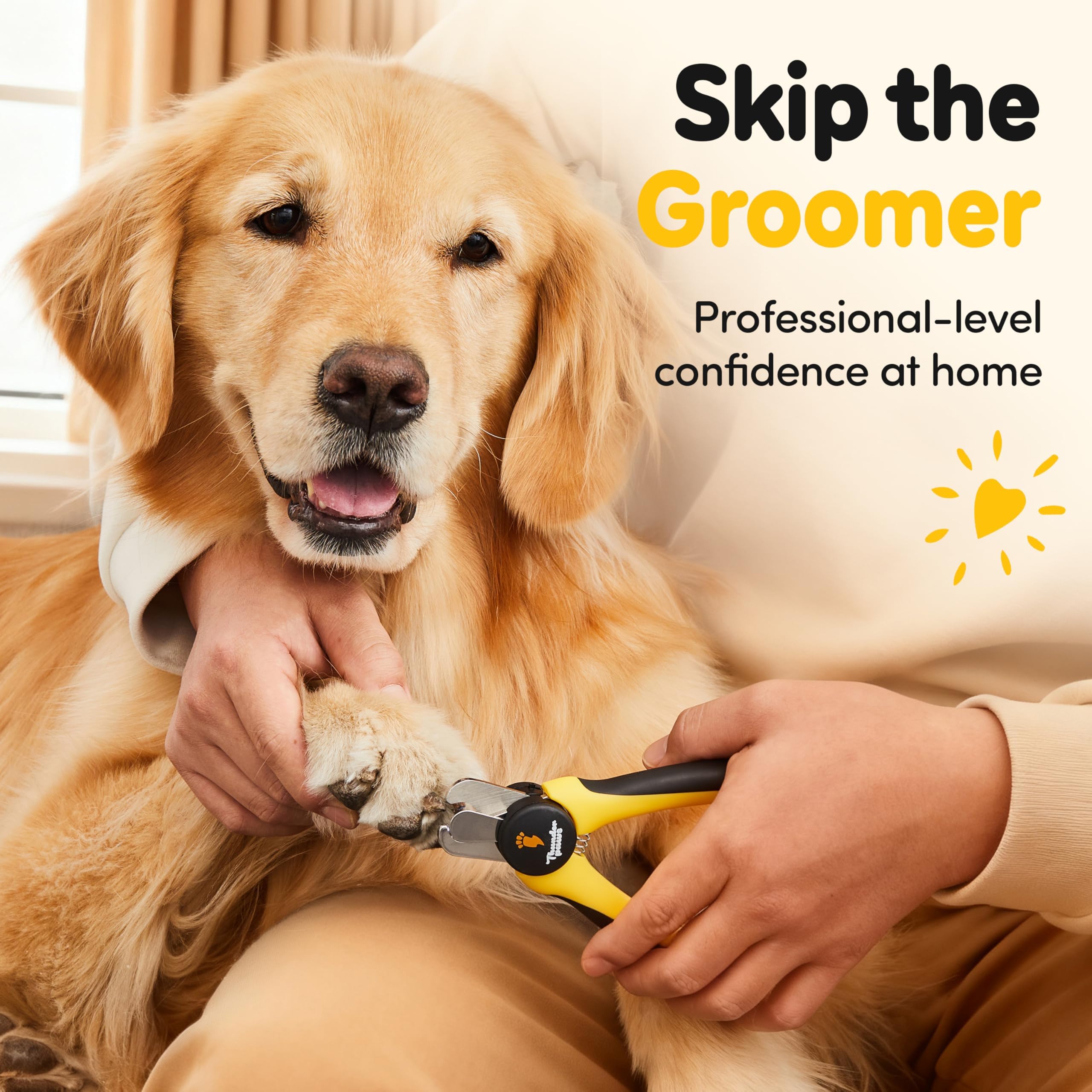 Thunderpaws utilisé sur une patte de chien pour démonstration pratique