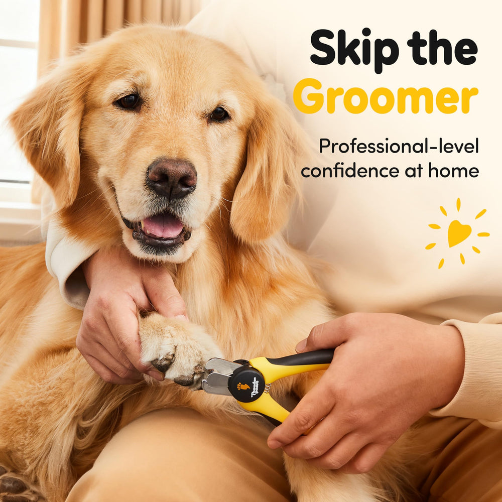 Thunderpaws utilisé sur une patte de chien pour démonstration pratique
