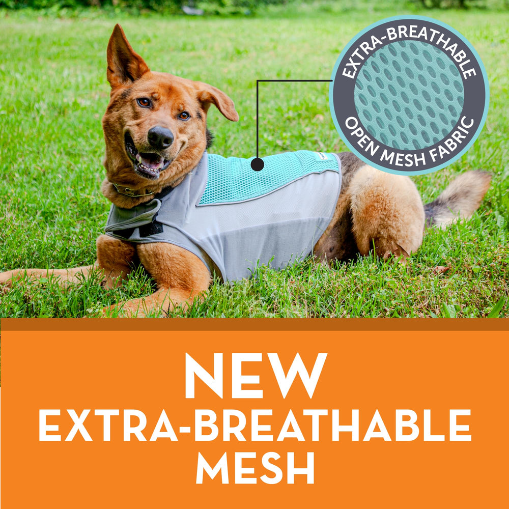 ThunderShirt Breeze porté par chien en promenade, réduit le stress