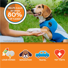 Thundershirt Breeze porté sur chien en promenade pour calme actif