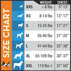 ThunderShirt chien en promenade pour calmer et améliorer visibilité