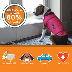 ThunderShirt chien portant la veste en promenade pour plus de calme