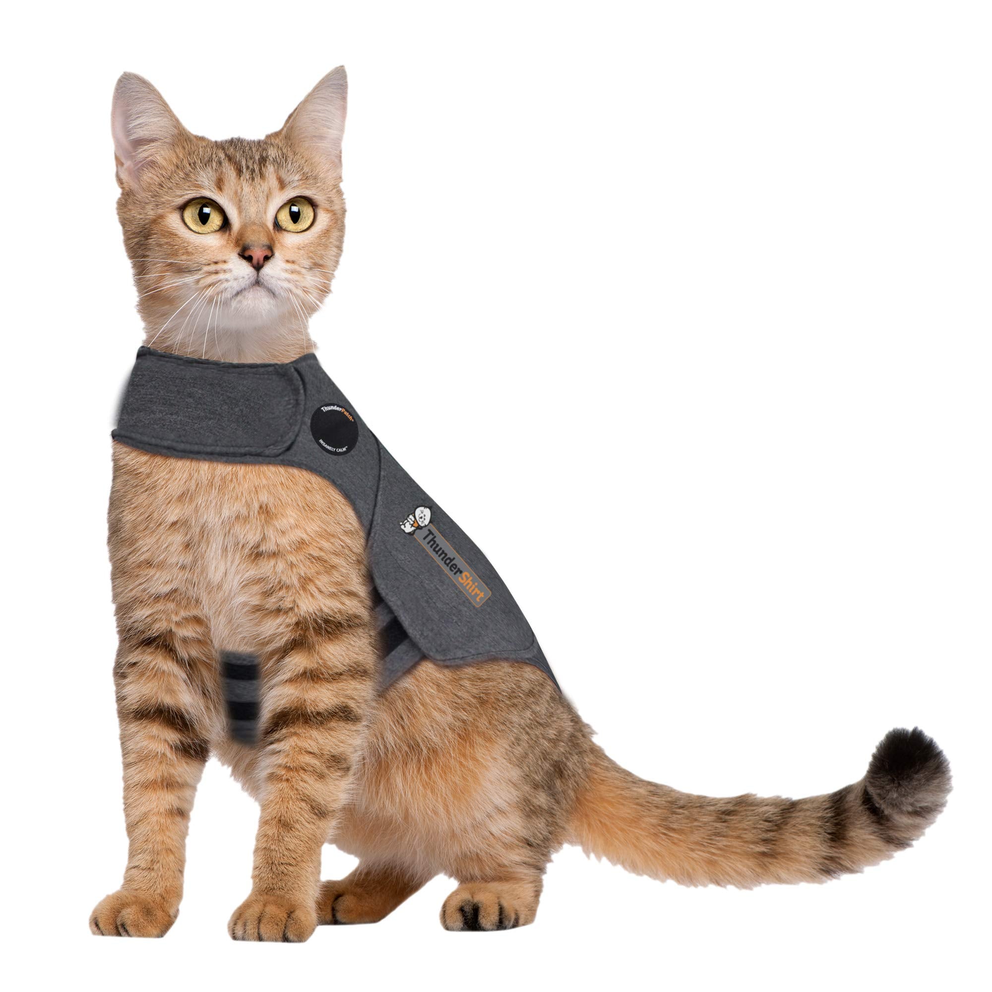 Thundershirt gros plan matière tricot résistante et confortable