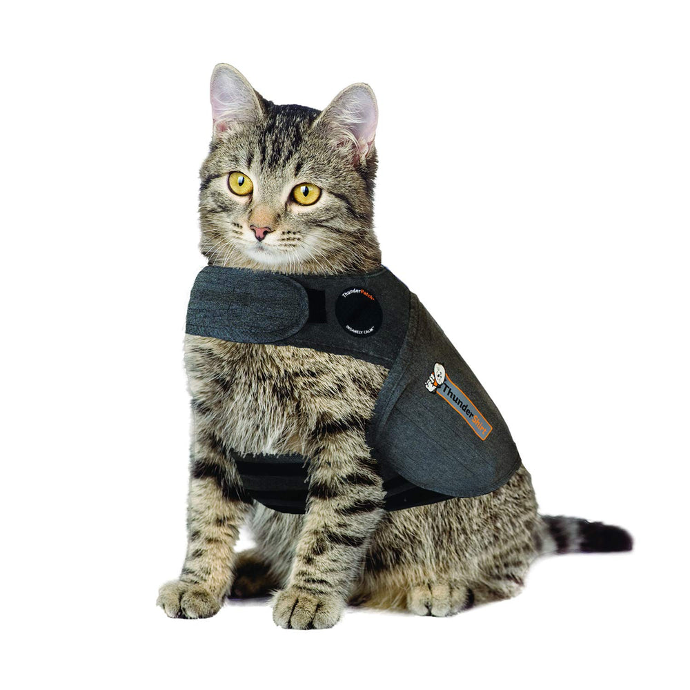 Thundershirt veste chat face avant montrant maintien apaisant