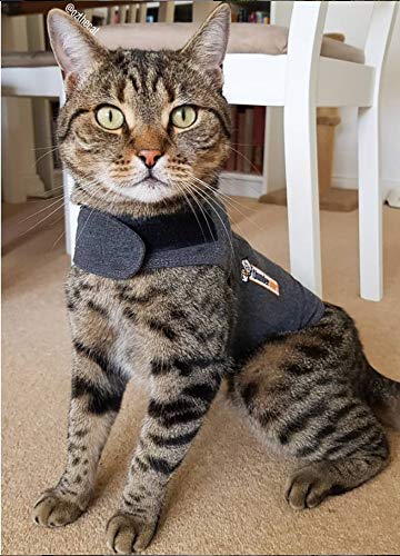 Thundershirt emballage et étiquette facilités d'entretien