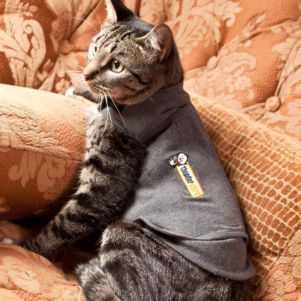 Thundershirt comparaison taille Medium pour choix précis