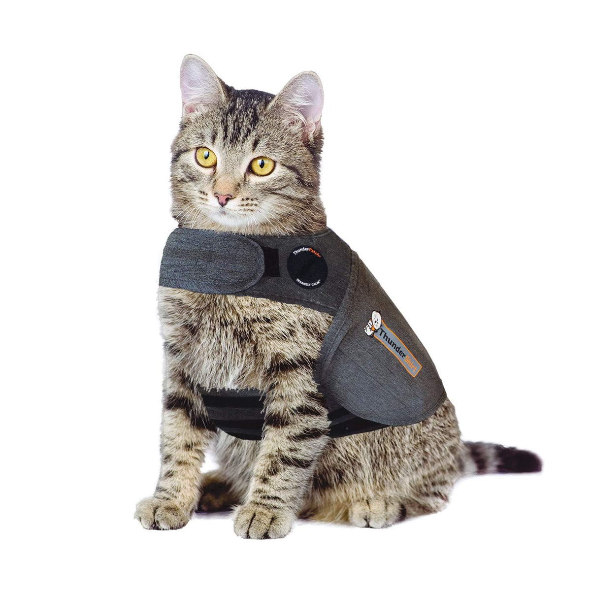 ThunderShirt veste gris devant montrant coupe apaisante