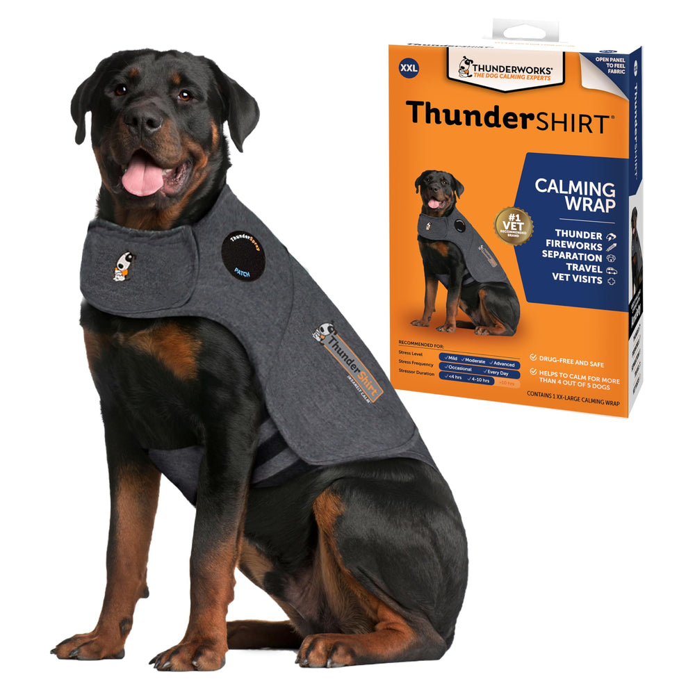 Thundershirt vue avant XX Large heather gray montrant maintien confortable