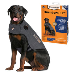 Thundershirt vue avant XX Large heather gray montrant maintien confortable